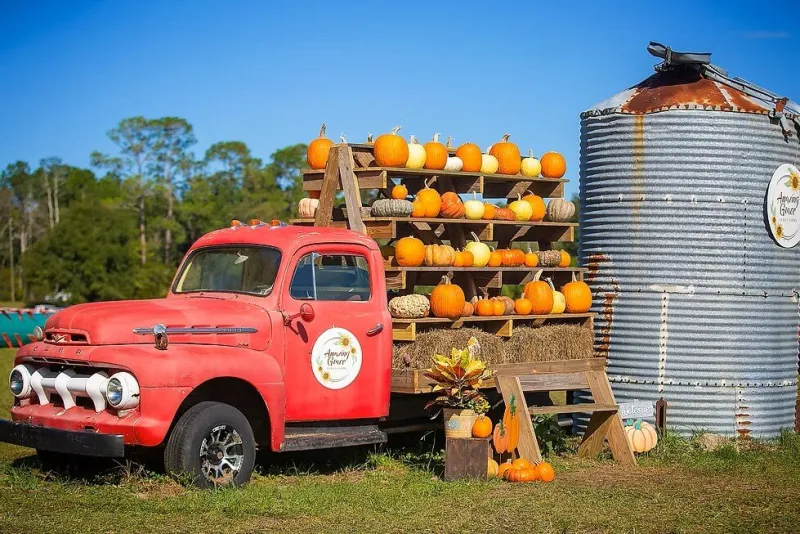 All that's good about fall: Crop mazes, corn cribs and pumpkins