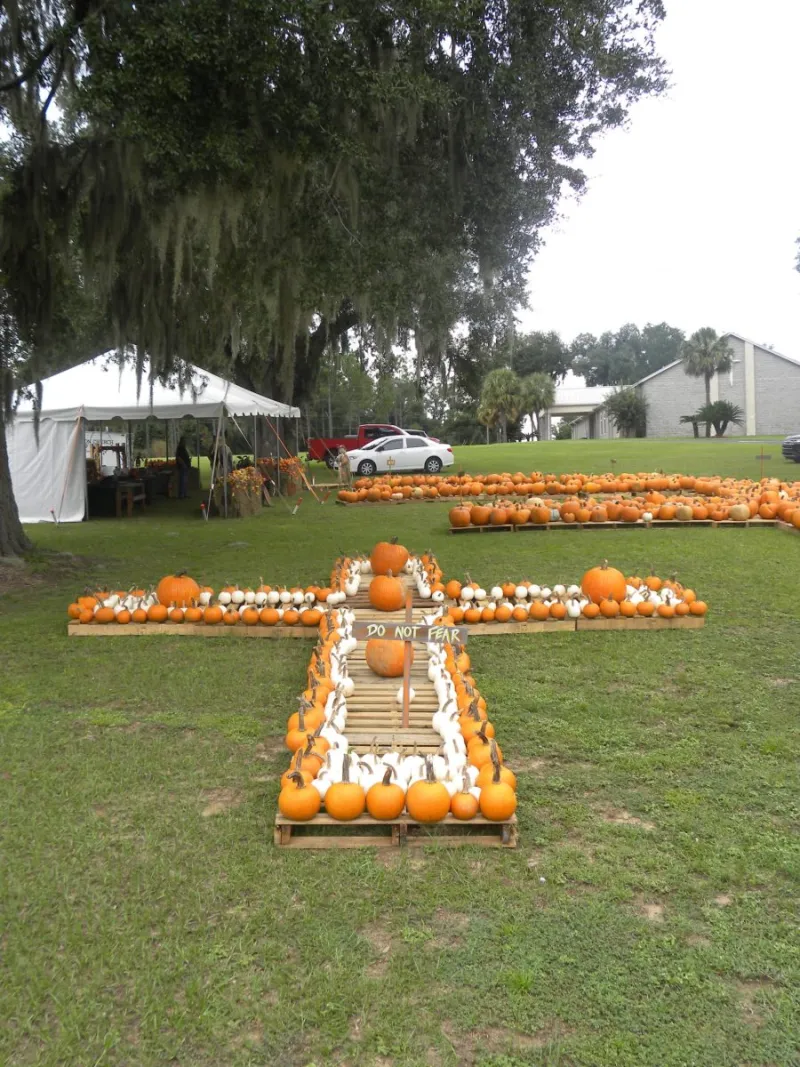 Madison Church of God's pumpkin patch is back