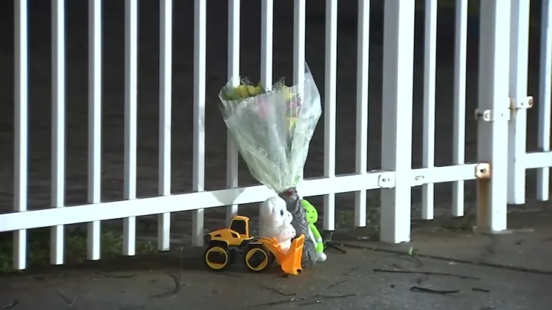 5-year-old boy dies after large video display board falls on him at school