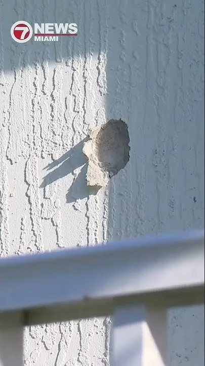 Stray bullet grazes young girl's head inside Pompano Beach home (Video)