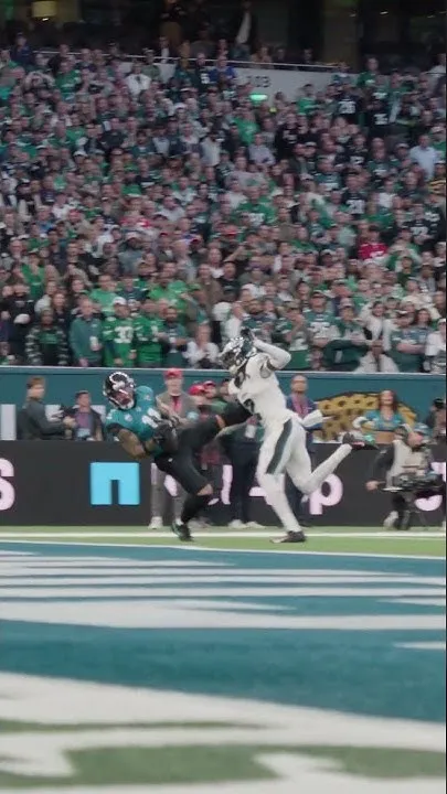 HANG IT IN THE LOUVRE  (Video)