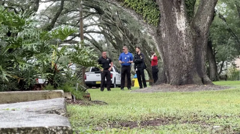 Tampa Bay dengue outbreak prompts expanded mosquito spraying after heavy rains