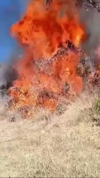 Military helps battle wildfire in Peru during El Nio drought (Video)