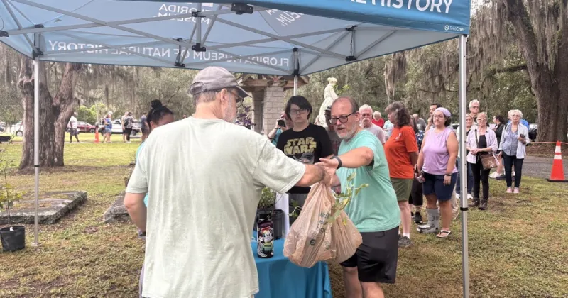 Amid renovations, pollinator programming brings the Florida Museum outdoors