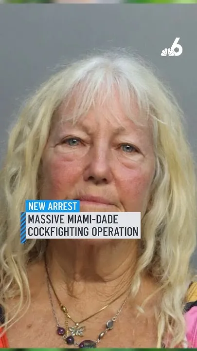 Animal Cruelty: FBI raid uncovers massive Miami-Dade cockfighting operation. (Video)