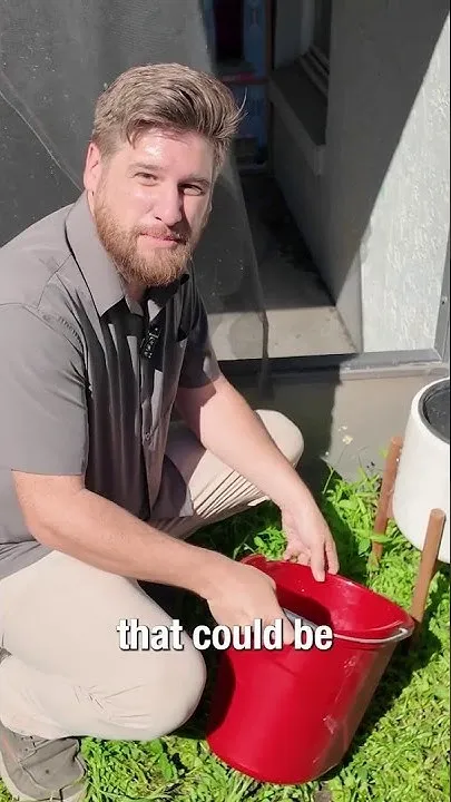 More dengue fever cases appear in Orlando area. What officials plan to do (Video)