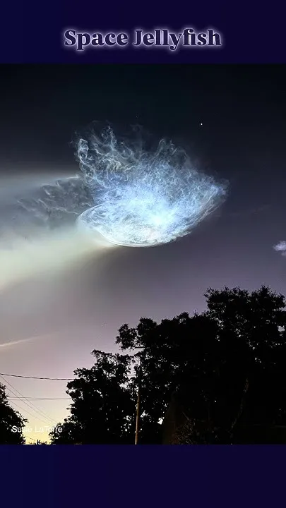 Space Jellyfish photos | Oct. 13 (Video)