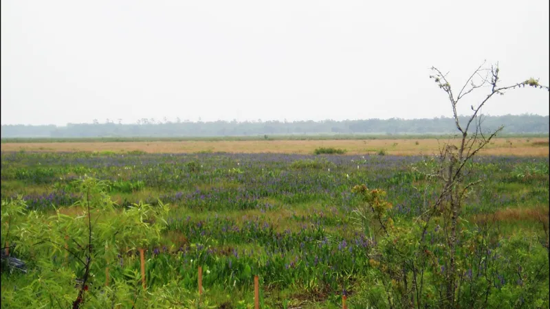 Alachua County Commission Regular Meeting, 10-13-26 @ 11:30 a.m. (Video)