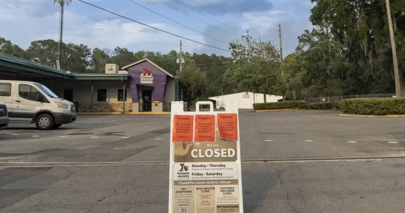 Nearly every pet fostered during Alachua County wildfires found a permanent home