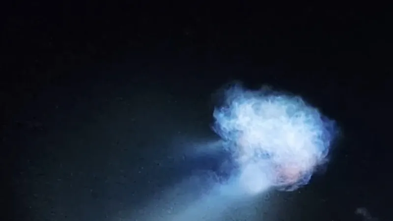 SpaceX launch in Florida creates stunning 'space jellyfish' effect