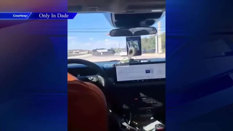 Video shows driver crashing into Florida City Police cruiser in intersection