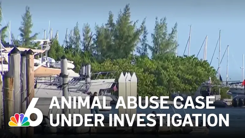 Video of dog submerged underwater in Miami under investigation (Video)