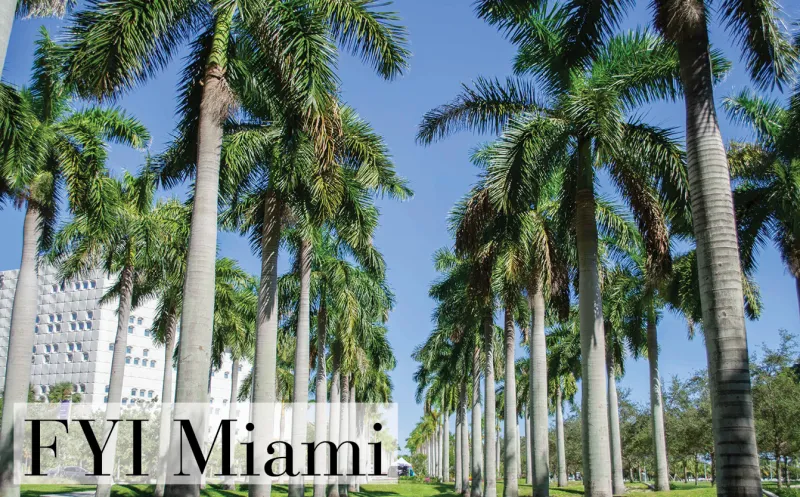 FYI Miami: October 15, 2026