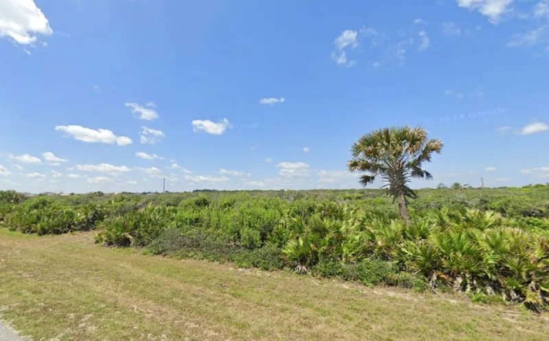 Flagler County Spends $3.25 Million for Conservation Easement on 39 Acres Near Marineland