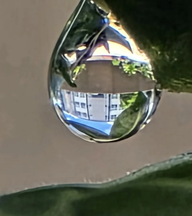 Despite Recent Rain, Water Restrictions To Last Through March