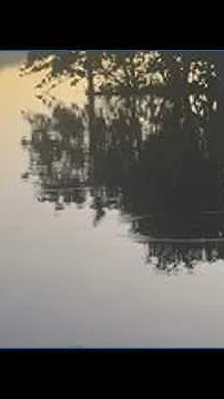 Residual flooding after Isaias in Jacksonville (Video)