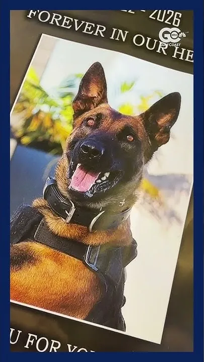 Lee County Sheriff's Office holds public funeral for K9 Dundee at Hertz Arena in Estero (Video)