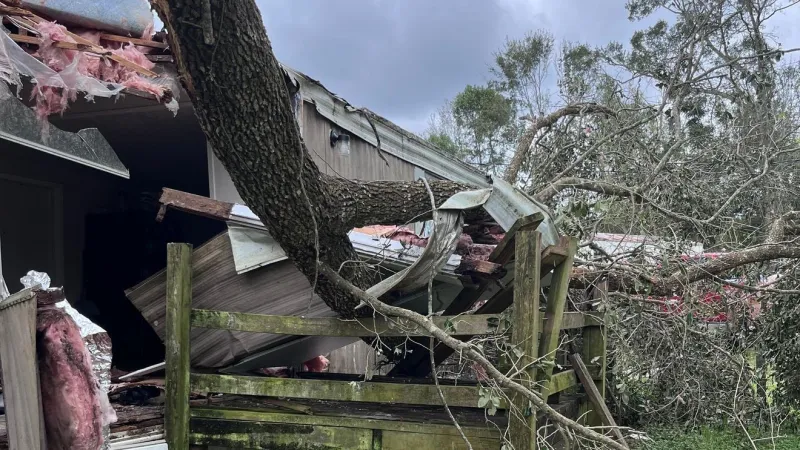 FEMA individual aid not yet set for Isaias; Pensacola, Escambia to meet state on damages