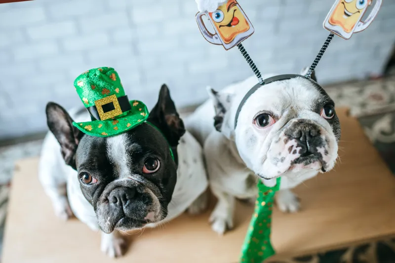 Look Back: Seven St. Patrick's Day Celebrations That Still Work at Home