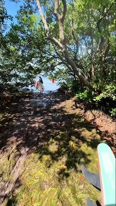 Caught in a Rainstorm | WFLA Creator Lab (Video)