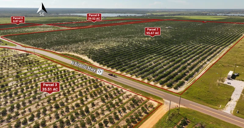 584 acres of Polk County citrus groves heading to auction