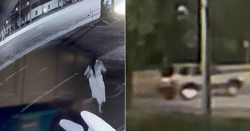 Palm Springs police seek potential witness in fatal Lake Worth Road hit-and-run