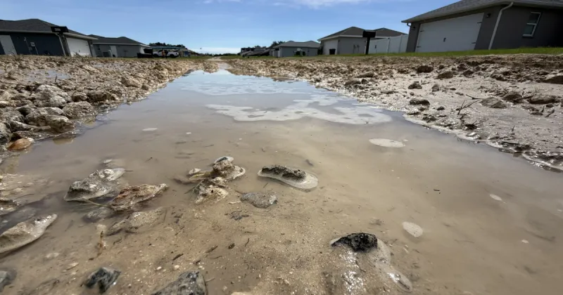 Citrus County attorney says board ignored warnings about troubled neighborhood