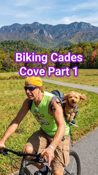 Cades (Video)