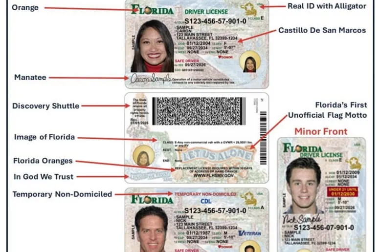 Tax Collector announces new driver license, ID card design
