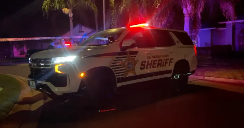 HCSO arrest 16 people in domestic violence warrant operation