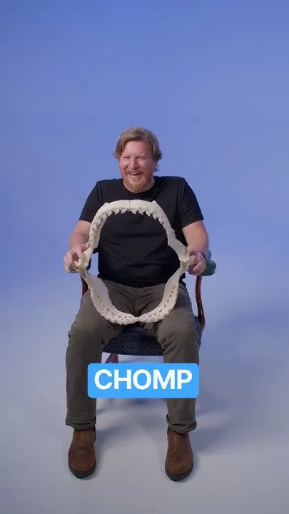 shark dentists? (Video)