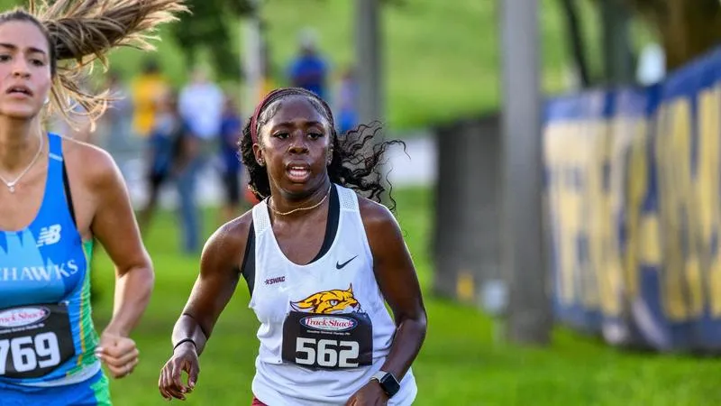 Wildcats to Compete in Final Race Before SWAC Championship