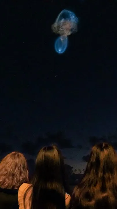 Student research launches into space!   (Video)