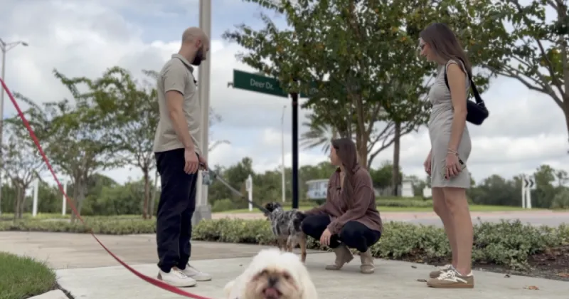 Puppy's Parvo fight highlights red flags for pet buyers