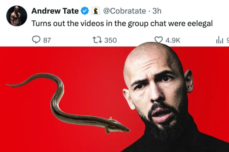 Andrew Tate is having an eel of a time with his animal porn allegations