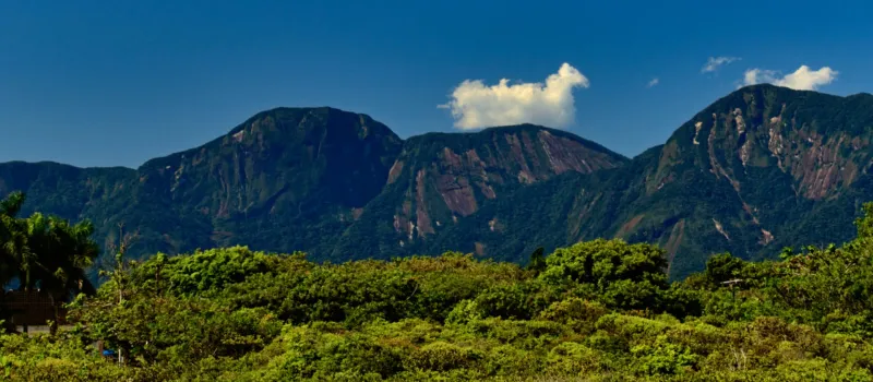 Nearly 27% of Earth's land is managed for conservation, but critical ecosystems remain vulnerable