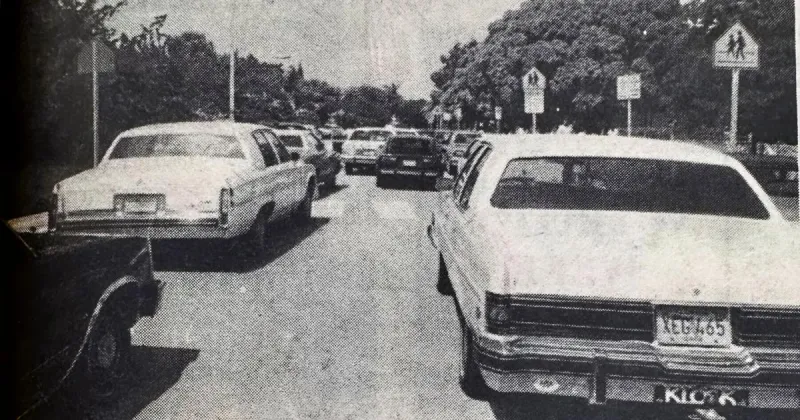 $750k drug bust, Bear Cut traffic and power lines made headlines in 1984