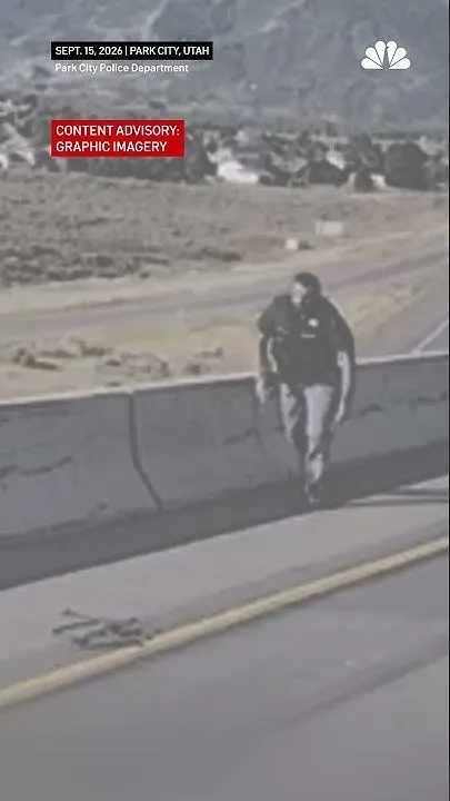 Dramatic video shows police dog surviving fall after jumping from overpass (Video)