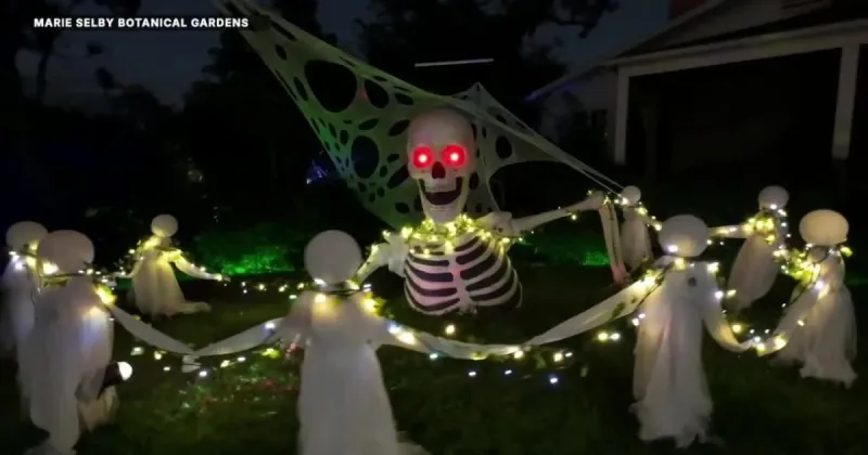 Boo-tanical Halloween light display taking place at Selby Gardens