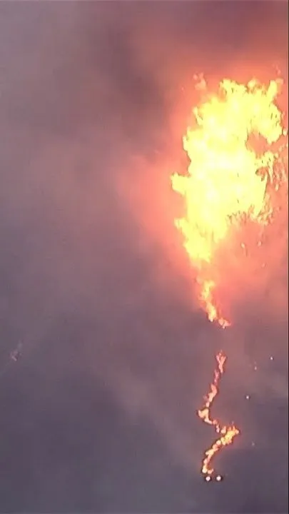 Waterbombers attempt to put out Bryson Fires in California (Video)