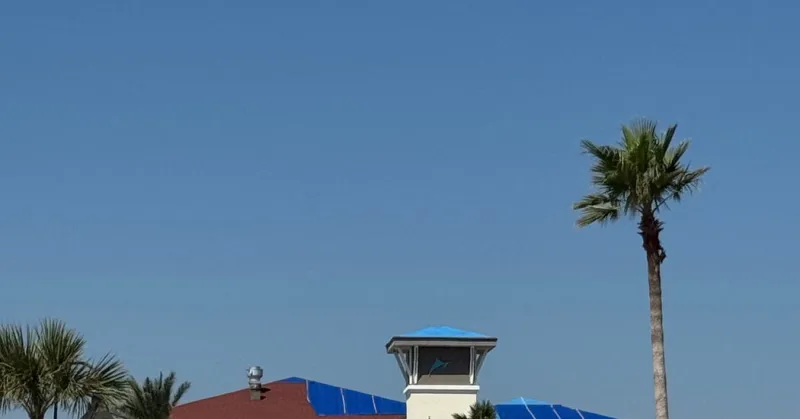 Key to Past Hurricane Cleanup, Some Immigrant Workers Fear Florida's Raids