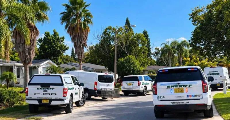 Port Richey woman hospitalized with life-threatening injuries after dog attack