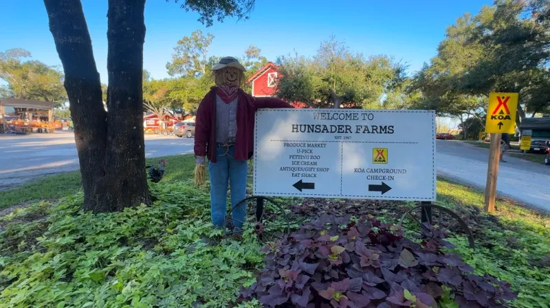 Hunsader Farms' Pumpkin Festival opens after flooding canceled first weekend