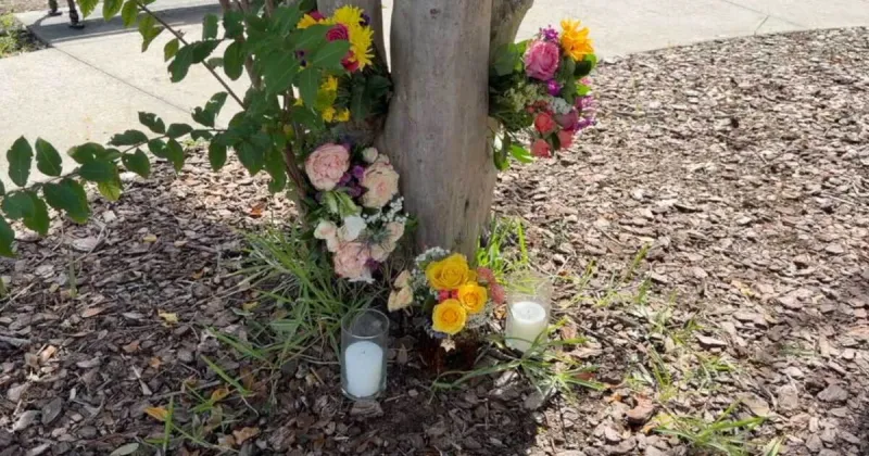 Safety Harbor rallies around memory of woman killed, encourages community to wear purple