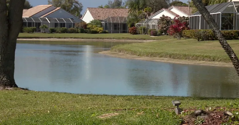 Amendment 3 could bring rush of Florida homebuyers, impact property values