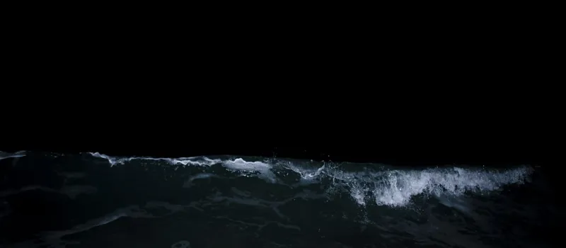 Now you see them: FIU researchers uncover patterns in vessels that vanish at sea