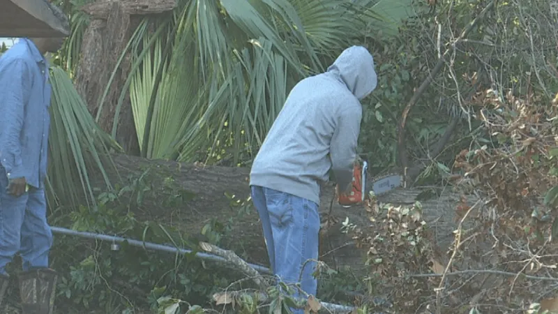 One week after Hurricane Isaias, Pensacola neighborhoods face tarps, debris and repairs