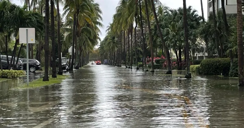 Rainy and windy Sunday on Key Biscayne