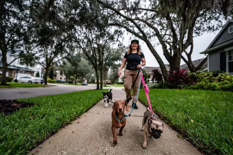Walk The Walk Pet Care Celebrates A Decade Of Caring