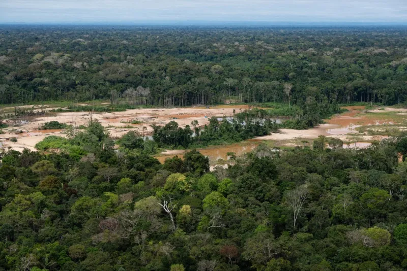 Criminal networks threaten the Amazon. Indigenous leaders want the UN to act